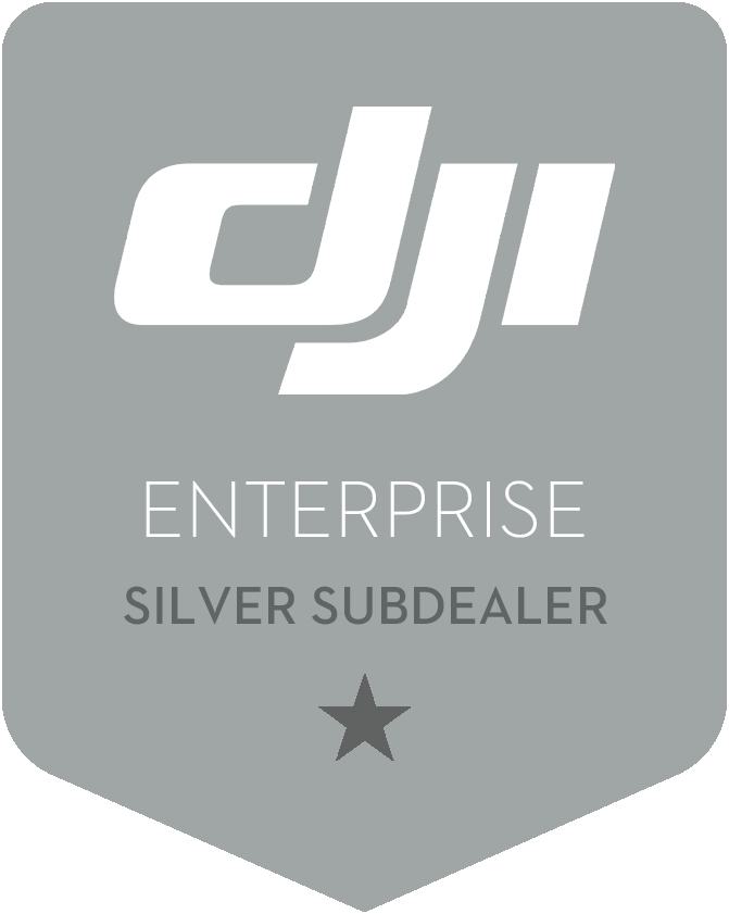 logo Silver