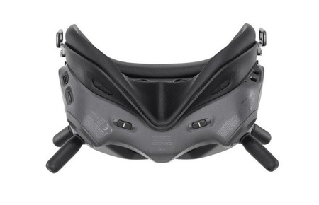 DJI FPV Goggles