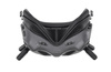 DJI FPV Goggles