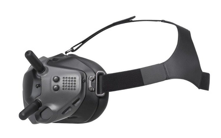 DJI FPV Goggles