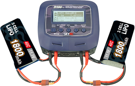 Charger SkyRC D100 V2