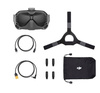 DJI FPV Goggles