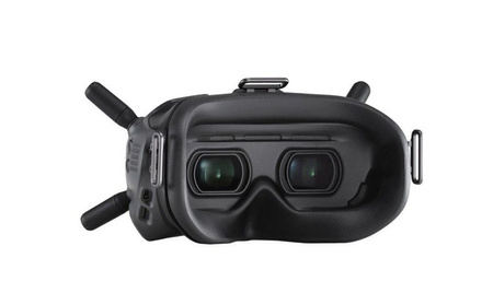 DJI FPV Goggles