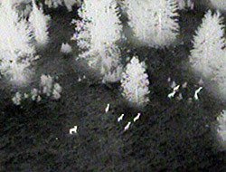 Flir Vue Pro R 336 x 256