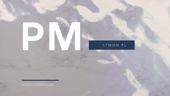 Atmon FL dust measurement module PM10: / PM2.5