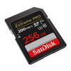 SANDISK EXTREME PRO SDXC 256GB 200/140 MB/s UHS-I U3 memory card (SDSDXXD-256G-GN4IN)